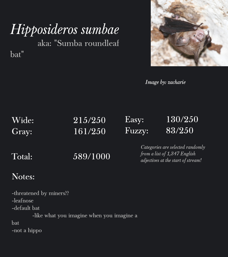 Hipposideros sumbae